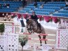 broodmare Lady Gaga 36 (Oldenburg, 2009, from Lordanos)