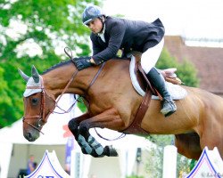 broodmare Qualinda de Lafayette (Selle Français, 2004, from Fidelio du Donjon)