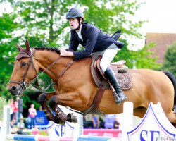 Springpferd Quassoul de Cerisy (Selle Français, 2004, von Quick Star)