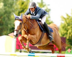 broodmare Queen Merze (Selle Français, 2004, from Papillon Rouge)