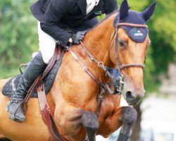 jumper Quête du Phare (Selle Français, 2004, from Kannan)