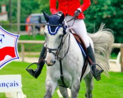 jumper Barcelona (KWPN (Royal Dutch Sporthorse), 2006, from Cartano)