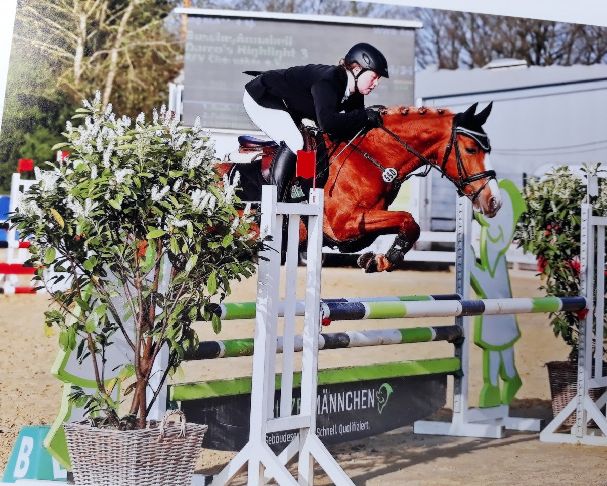 broodmare Darco's Highlight 3 (German Riding Pony, 2014, from Dabuten van Overis Z)