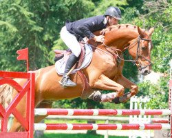 jumper Rêve de Nabab (Oldenburg show jumper, 2005, from Cartoon)