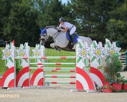 jumper Addax d'Authou (Selle Français, 2010, from Mercredi de Mars)