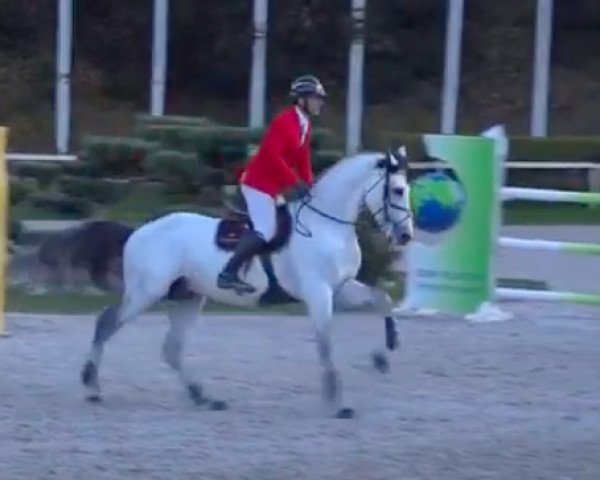 jumper Viky du Bahys (Selle Français, 2009, from Mercredi de Mars)