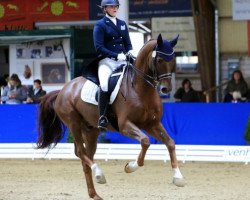 dressage horse Feingold 48 (Oldenburg, 2010, from Fidertanz)