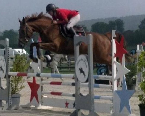 horse Galatee Maoucha (Selle Français, 2016, from Emir d'Helby)