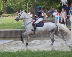 Pferd Mithril Maoucha (Selle Français, 2000, von El Dorado Maoucha)