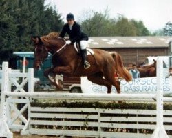 broodmare Ravitchou Trefle (Selle Français, 1983, from Garitchou AA)