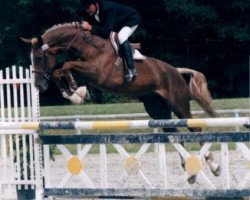 broodmare Golditchou Maoucha (Selle Français, 1994, from Uzelien)