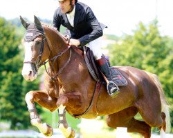 Pferd Rhéa Auréa Maoucha (Selle Français, 2005, von Elan de la Cour)