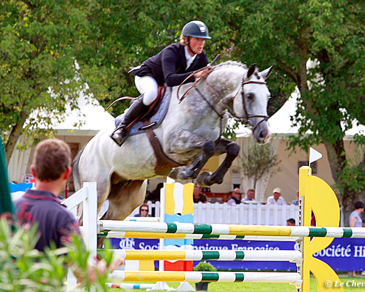 stallion Bel Reinhart Z (Zangersheide riding horse, 2005, from Berlin)