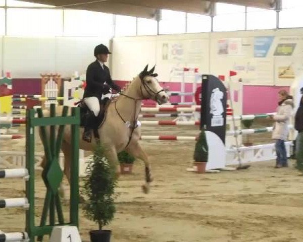 Trier - Hofgut Monaise 2014