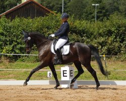 dressage horse Dirty-Diana (Hanoverian, 2011, from Decamerone 5)