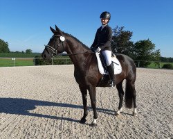 dressage horse Georgina 202 (Württemberger, 2013, from Genesis)