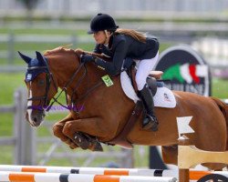 jumper El Paciente de Saúco (Spanish Sport Horse, 2004, from Le Tot de Semilly)