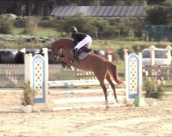 jumper Coeur de la Fleur 3 (Hanoverian, 2016, from Colman)