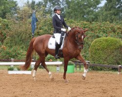 broodmare Zeppelin's Lillet (Oldenburg, 2016, from Fuechtels Floriscount OLD)