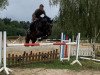 jumper Di Dame (Oldenburg show jumper, 2015, from De Quidam)