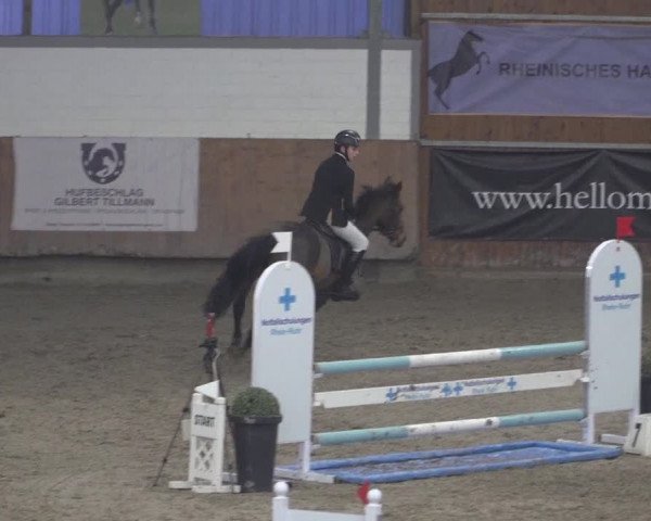 Reitturnier Grevenbroich - Gut Neuhaus 2021