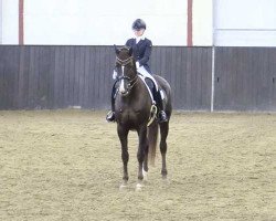 dressage horse Belaabs (Holsteiner, 2009, from de Chirico)