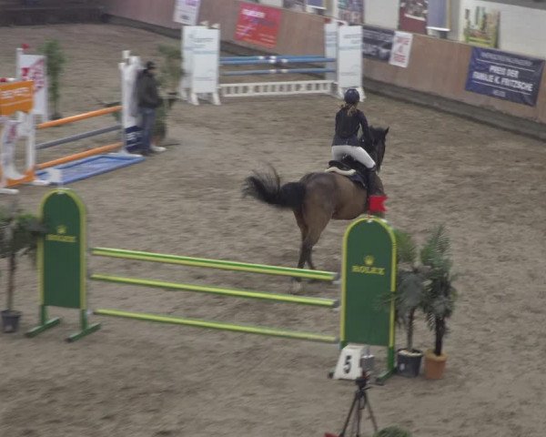 Reitturnier Grevenbroich - Gut Neuhaus 2021