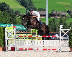 Springpferd Ipsylon van de Noordheuvel (Belgisches Warmblut, 2008, von Clinton)