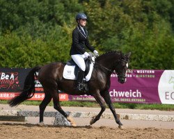 dressage horse Brantops Panthera (German Riding Pony, 2002, from Pan Tau)