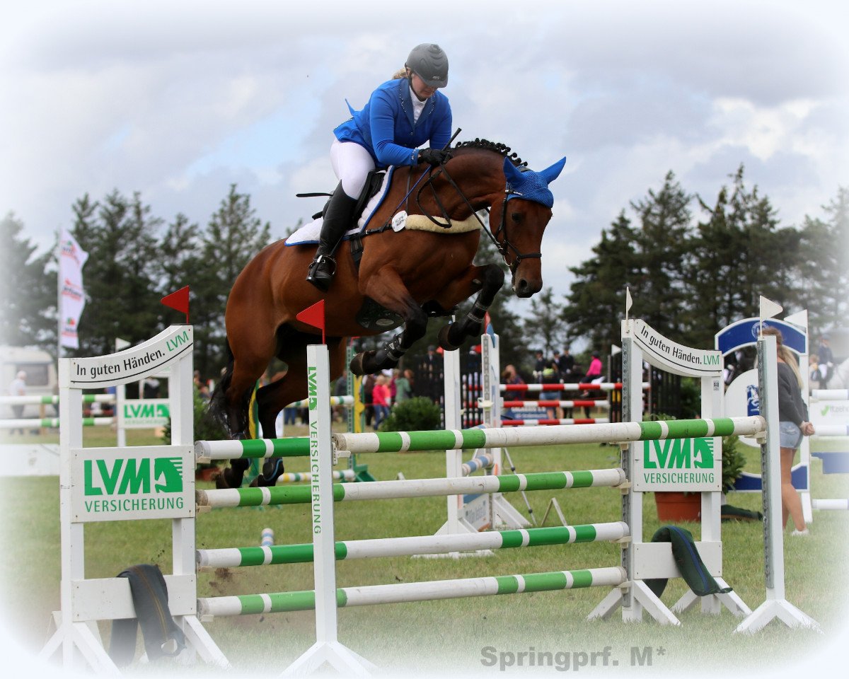 broodmare Bella Balduina (Holsteiner, 2009, from Nekton)