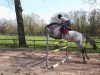 horse Get a Date (KWPN (Royal Dutch Sporthorse), 2011, from Up To Date)