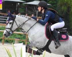 jumper Country Girl du Milon (Connemara Pony, 2012, from Idefix du Villon 2)