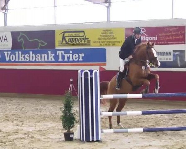 Trier - Hofgut Monaise 2014