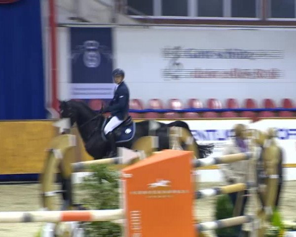 12. Hallenchampionat Vechta