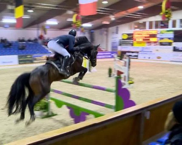 12. Hallenchampionat Vechta