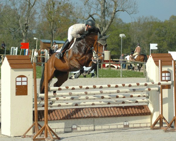 broodmare Parisienne du Lozon (Selle Français, 2003, from Quick Star)