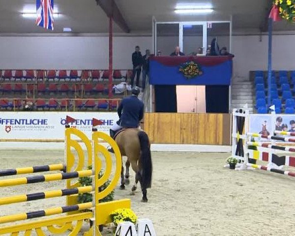 12. Hallenchampionat Vechta