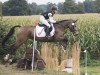 jumper Dainy (German Riding Pony, 2006, from Contendro I)