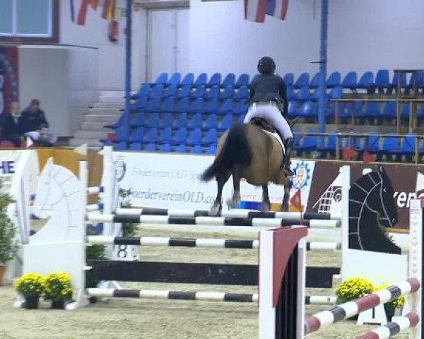 12. Hallenchampionat Vechta