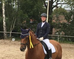 dressage horse Quäntchen Glück 21 (Hanoverian, 2013, from Quasar de Charry)