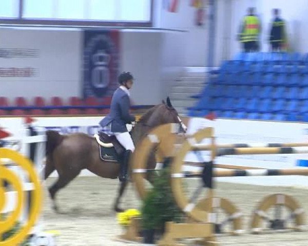 12. Hallenchampionat Vechta