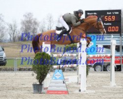 jumper Nemara (Polish Warmblood, 2008, from Maram)