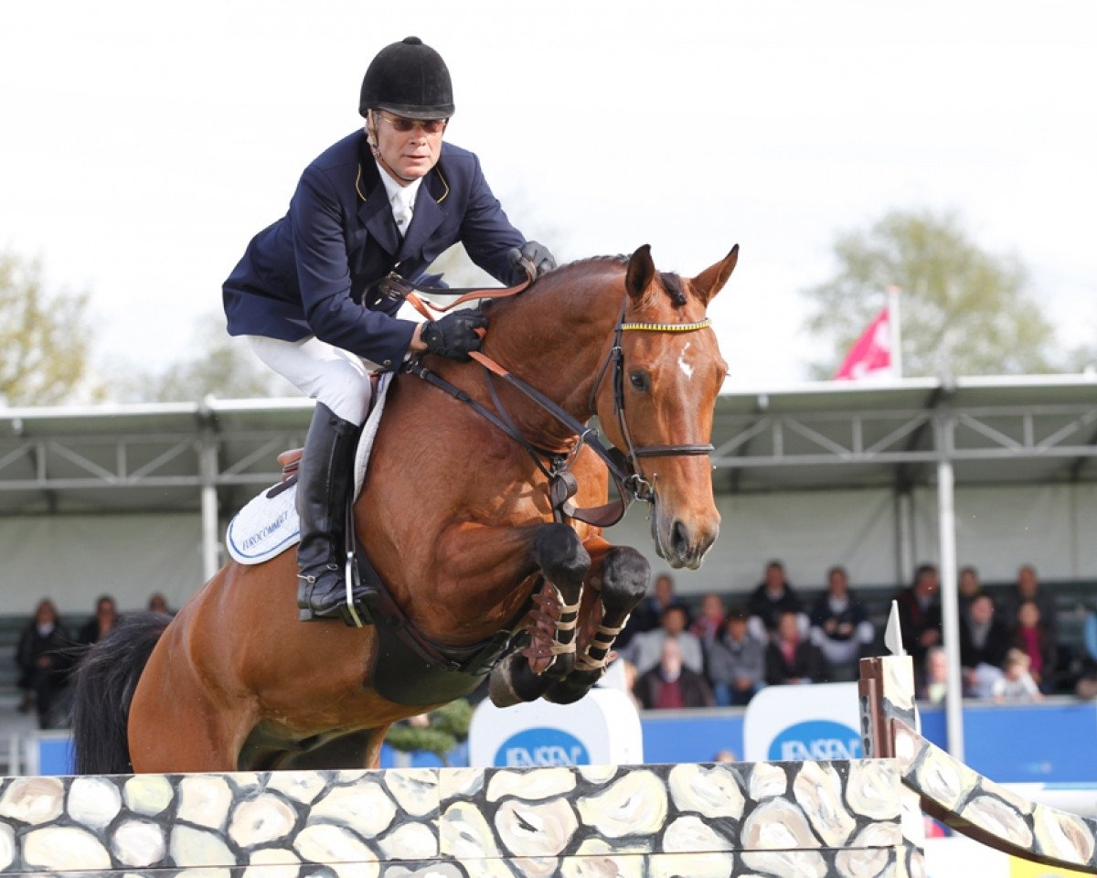 stallion Zwiep des Fontaines (KWPN (Royal Dutch Sporthorse), 2004, from Lupicor)