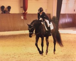 dressage horse Daimi (Oldenburg, 2004, from Diamond Hit)