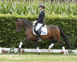 broodmare Baumann's Nanu (German Riding Pony, 2012, from Nemax)