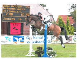 broodmare Queen Waltraud (Holsteiner, 2006, from Quidam de Revel)