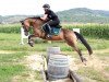 Springpferd Lucky Leaves Sparkling Hubble Bubble (Deutsches Reitpony, 2012, von Strahlemann)