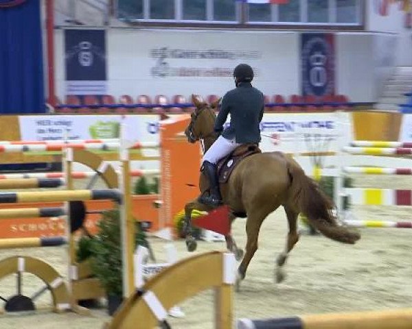 12. Hallenchampionat Vechta