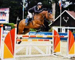 jumper Nababs Girl CB (Oldenburg show jumper, 2014, from Nabab de Rêve)