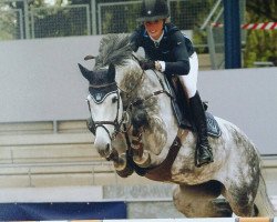 broodmare Condoleeza Z (Zangersheide riding horse,  , from Caritano Z)